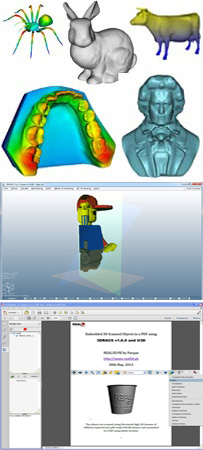 Rendering Features of Real3d Scanner